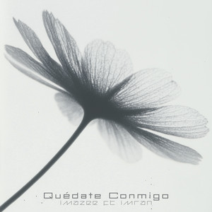 Quédate Conmigo by Imazee, Imran