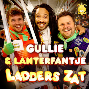 Uitschuif Ladders Zat