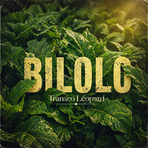Bilolo by Transco Leopard
