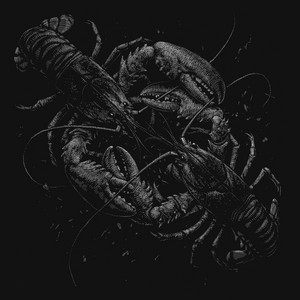 The Ocean — Belligerence (2026)
