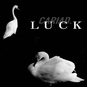 Luck by Cariad.