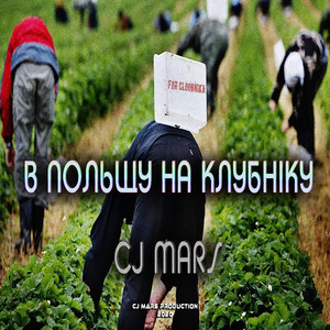 В Польщу На Клубніку