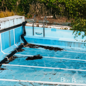 Blue Blaze by THE HAMIDA SHE’S