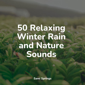 50 Loopable Rain Sounds for Relaxation album