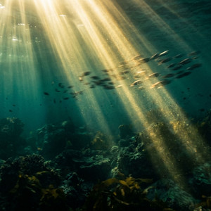 Sun Under Waves by Stephany Day