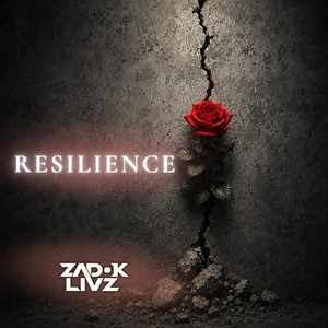 HEATIN UP by Zadok Livz