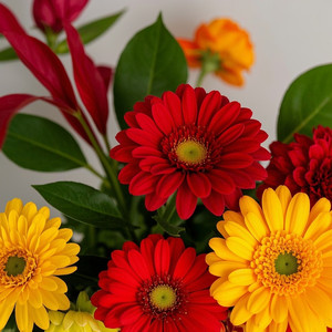 hay flores by benito cruz