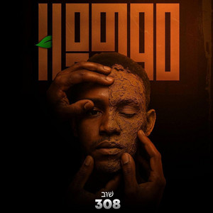 Tsegaab Alemu - Yemzemrew