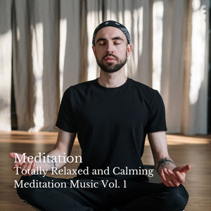 Totally Relaxed and Calming Meditation Music Vol. 1 album