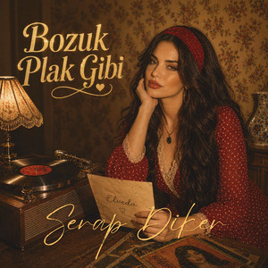 Bozuk Plak Gibi by Serap Diker
