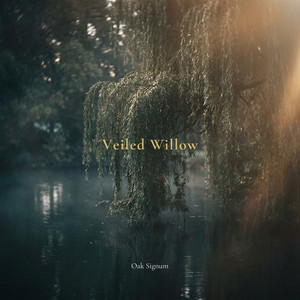 Veiled Willow by Oak Signum