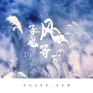 等风也等你 - DJ德朋版 by 阮妍霏