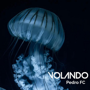 Volando by Pedro FC
