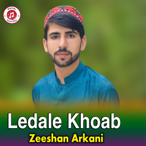 Zeeshan Arkani - Ledale Khoab