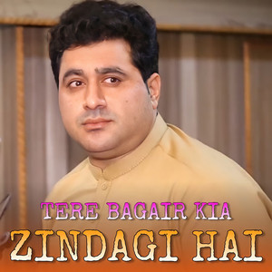 Shah Farooq - Tere Bagair Kia Zindagi Hai
