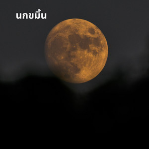 ພອຍໄພລິນ - นกขมิ้น