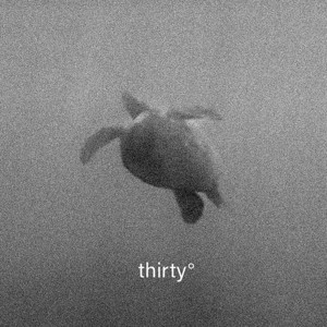 Thirtyº by Movement81