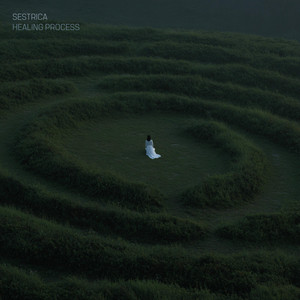 Healing process cover art