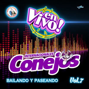 Internacionales Conejos - El Botecito (En Vivo)