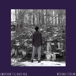 (Why Don't I) Hate You by Michael Stolar
