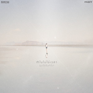 ทำไมไม่ใช้เวลา (มาใช้ฉันทำไม) by NINEW
