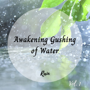 Rain: Awakening Gushing of Water Vol. 1 album