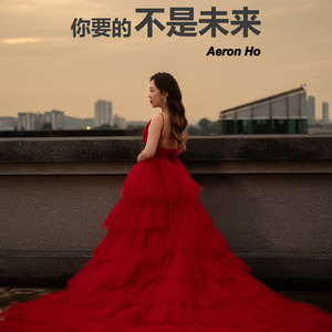 你要的不是未来 by Aeron Ho