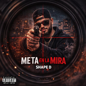 Meta en la mira by Shape D