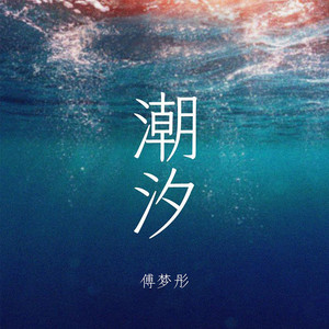 Mengtong Fu - 潮汐