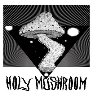 The Cosmic Sun by Holy Mushroom
