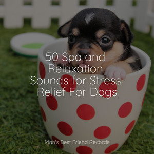 50 Spa and Relaxation Sounds for Stress Relief For Dogs album