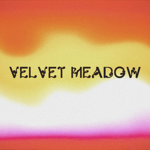 Why Lie? by Velvet Meadow