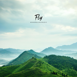 Fly