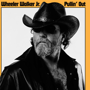 Whiskey Dickin' by Wheeler Walker Jr.