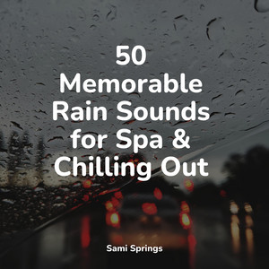50 Memorable Rain Sounds for Spa & Chilling Out album