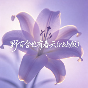 野百合也有春天(R&B版) by 啊澈