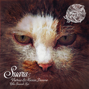 The Sound artwork