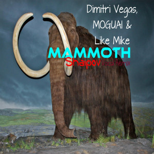 Key Bpm For Mammoth Shaipov Remix Vocal Remix By Shaipov