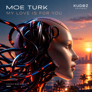 My Love Is For You by Moe Turk