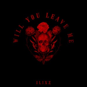 Will You Leave Me by ILIXZ