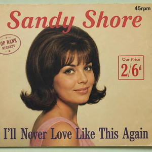 I'll Never Love Like This Again by Sandy Shore
