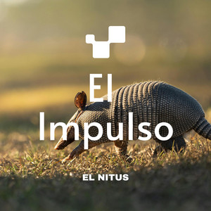 EL IMPULSO by EL NITUS