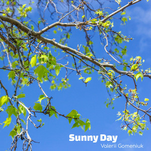 Sunny Day