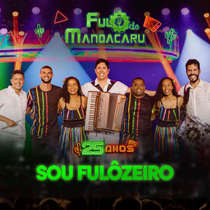 Sou Fulôzeiro - 25 Anos - Ao Vivo em Cruz das Almas/BA by Fulô de Mandacaru