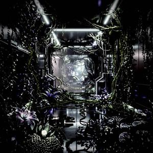 Shadow Bloom by Jungle Boys
