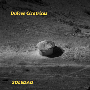 Nos matamos by Dulces Cicatrices