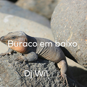BURACO EM BAIXO by Dj Wil