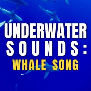 Underwater Sounds: Whale Song album