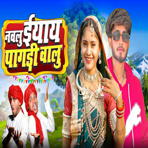 Navlu Iyay Pagdi Walu by Ads Vijju