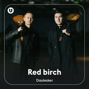 Daulesker - Red birch